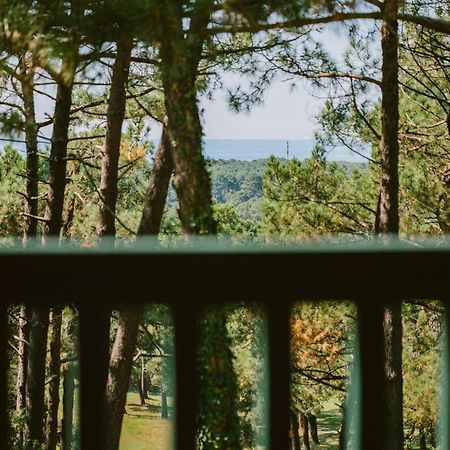 70 Hectares... Et L'Ocean 호텔 세노스 외부 사진